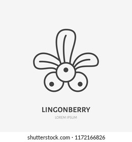 Lingonberry flat line icon, forest berry sign, healthy food logo. Illustration of cranberry, cowberry for natiral food store.