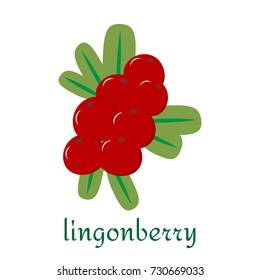 Lingonberry icon in flat style. Isolated object, logo. Fruit and berries from the farm. Organic food. Vector illustration.
