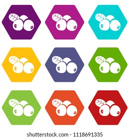 Lingonberry icons 9 set coloful isolated on white for web