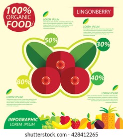 Lingonberry. Infographic template. vector illustration.