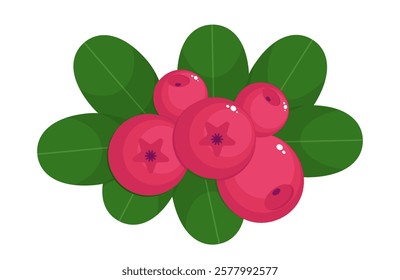 Lingonberry isolated on a white background. Red, pink berries and green leaves in flat style. Vector illustration, colored icon, design element.	