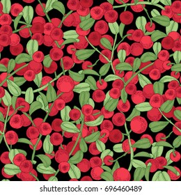 Lingonberry seamless pattern. Detailed hand drawn branches with berries. Colorful hand drawn illustration.