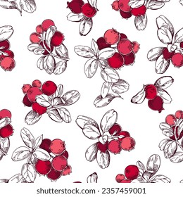 Lingonberry twigs with red berries. Seamless vector pattern with wild berries on a white background. Perfect for design templates, wallpaper, wrapping, fabric, print and textile.