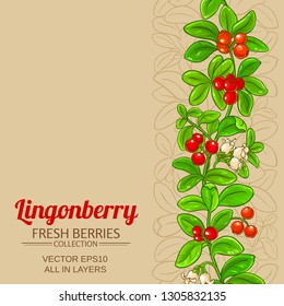 lingonberry vector background