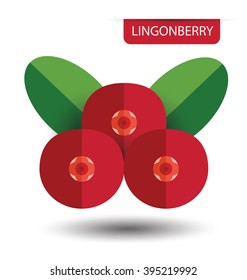 Lingonberry vector illustration