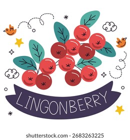 Lingonberry Vector Illustration. Flat Minimal Design. Editable Illustration for Web, Mobile, Print