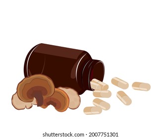 Lingzhi mushroom (Ganoderma Lucidum  Reishi mushroom)   herbal powder capsule isolated white background  Icon vector illustration 