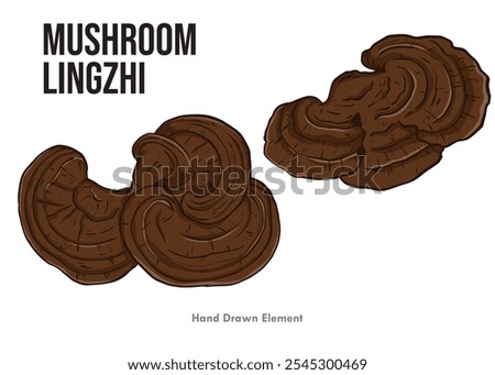 Lingzhi Mushroom vector design. White background. Can be used for large sizes. Suitable for health designs, ornamental packaging for medicine, herbs, cultivation and others