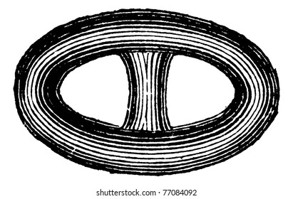 Link in the Brunton chain vintage engraving. Old engraved illustration of Brunton chain link. Trousset encyclopedia.