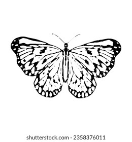 Lino cut butterfly silhouette. Hand made stamp for printing. Vector illustration isolated on white background