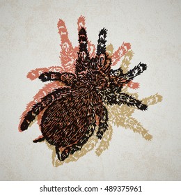 Lino cut Tarantula on background. Vector Illustrated frame from Tarantula spiders.
