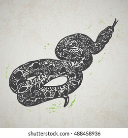 Lino cut tropical Boa Constrictor snake on background. Vector Illustrated Boa Constrictor snake.