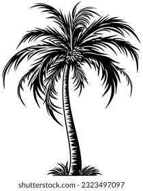 Linocut style illustration of black and white palm tree.