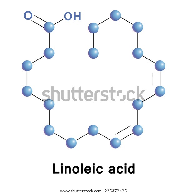 Linoleic Acid Chemical Skeletal Formula Medical Stock Vector (Royalty ...