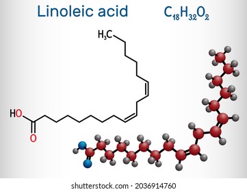 Linoleic acid, LA molecule. Omega-6, polyunsaturated fatty acid. Structural chemical formula and molecule model. Vector illustration