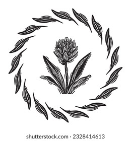 Ilustración vectorial de marco floral de Linotype. Diseño hecho a mano de un gráfico peculiar.