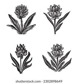 Linotype floral icon collection in whimsical vector art. Decorative foliate design for rustic botany set. 