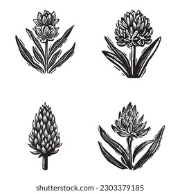 Linotype floral icon collection in whimsical vector art. Decorative foliate design for rustic botany set. 