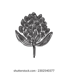 Linotype floral whimsical vector illustration. Handmade design of quirky foliage graphic.