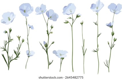 Linhaça de linho, Linum usitatissimum, caule de linho, elemento de árvore, isolado, cultura de fibra, têxtil natural, planta de oleaginosas, ilustração vetorial botânica, planta agrícola, eco-agricultura.