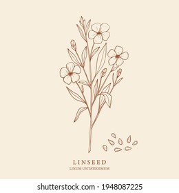 Linseed, Flax Plant. Hand Drawn Botanical Illustration