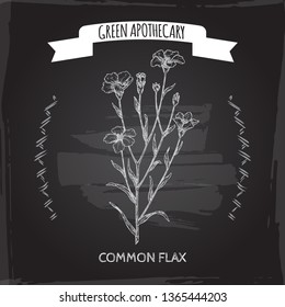 Linum usitatissimum aka common flax sketch on black. Green apothecary series. Great for traditional medicine, or gardening.