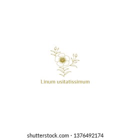 Linum usitatissimum vector