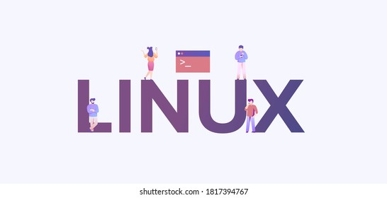 Sistema operativo Linux. Software de plataforma con tecnología de administración, desarrollo de Internet y configuración del sistema de programación del firmware del shell de seguridad de datos con interfaz vectorial segura.
