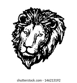 lion