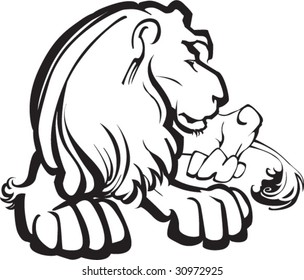lion