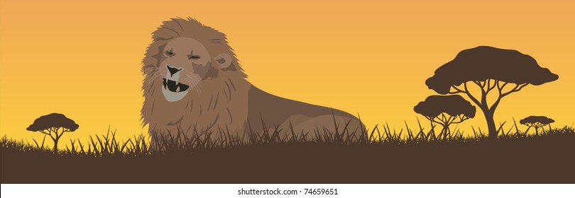 lion