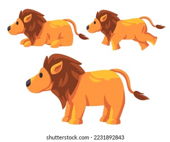 Lion africa hairy cute vector design illustration set collection of jungle king