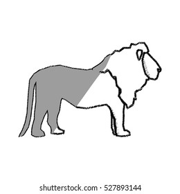 lion african animal icon vector illustration graphic design