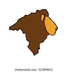 lion african animal icon vector illustration graphic design