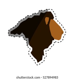 lion african animal icon vector illustration graphic design