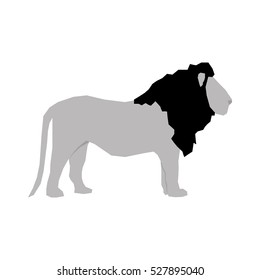 lion african animal icon vector illustration graphic design