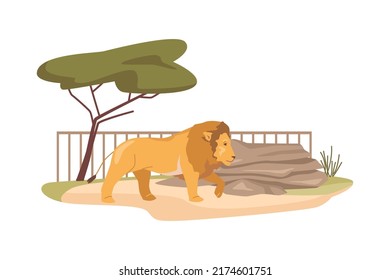 Lion in African wildlife nature reserve for exotic species. Zoological garden with prides. Bio park in Africa with habitat for genus Panthera. Flat cartoon, vector illustration