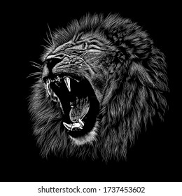 Lion animal conservation  illustration, vector black & white