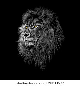 Lion animal illustration, nature conservation vector