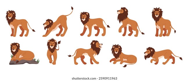 Lion animal king, cartoon flat style isolated illustration, character in different pose. Family mammal with fur mane. African cat male. Africa pride, safari mascot. Vector feline graphic tidy set