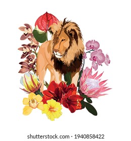 Lion animal surrounded by tropical plants leaves and flowers composition,  color illustration on white background.