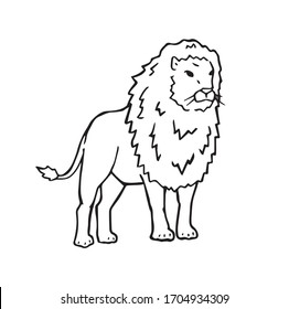 Lion animal wildly roar, hand drawn outline illustration. Big safari cat with fur cartoon drawing logo. Dangerous animal with tail and claws. Male lion contour sketch symbol. Leo zodiac horoscope sign