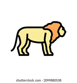 lion animal in zoo color icon vector. lion animal in zoo sign. isolated symbol illustration