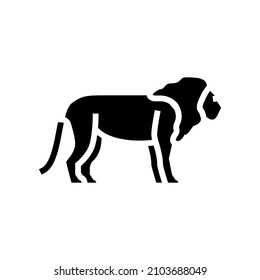 lion animal in zoo glyph icon vector. lion animal in zoo sign. isolated contour symbol black illustration