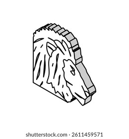 lion animal zoo isometric icon vector. lion animal zoo sign. isolated symbol illustration