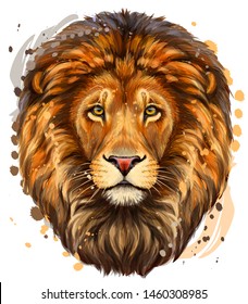 
Lion  Artistic  color  realistic portrait lion's head white background and watercolor splashes 