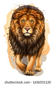 Lion. Artistic, color, realistic portrait of a lion walking forward on a white background with watercolor splashes.