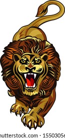 Lion attack