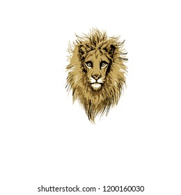 lion avatar head logo illustration vector