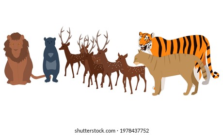 Lion bear deer cat tiger in isolated background - illustration